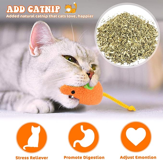 Catnip Toy - 6Pcs Cats Mouse Plush Cat Toys Realistic Cute Kitten Mice Filled Catnip for Cat Chew Toy1-Mewly Pet