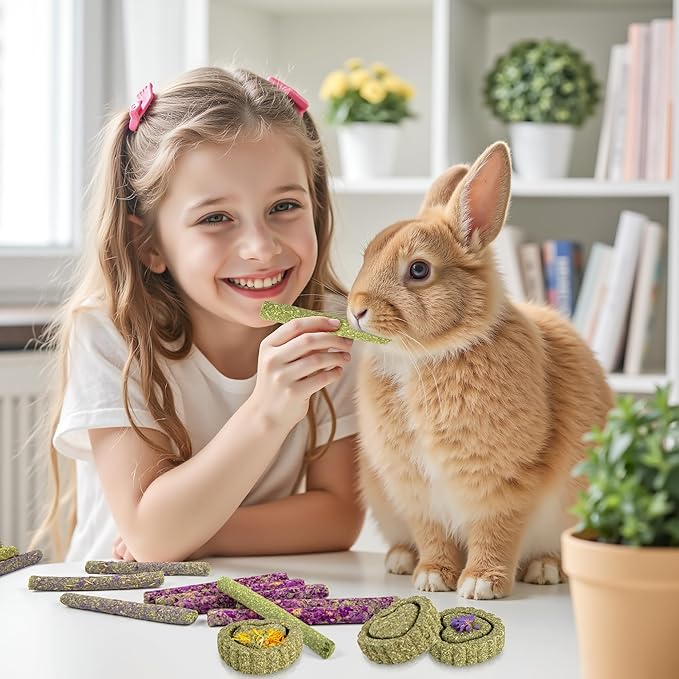 Sofier Timothy Hay Treats Rabbit Toys Bunny Guinea Pig Hamster Natural Chews for Teeth Handmade Rabbit Chews and Treats Chinchilla Rat Gerbil-Mewly Pet