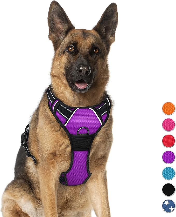 BARKBAY No Pull Dog Harness Large Step in Reflective Dog Harness with Front Clip and Easy Control Handle for Walking Training Running(Purple,XL)-Mewly Pet