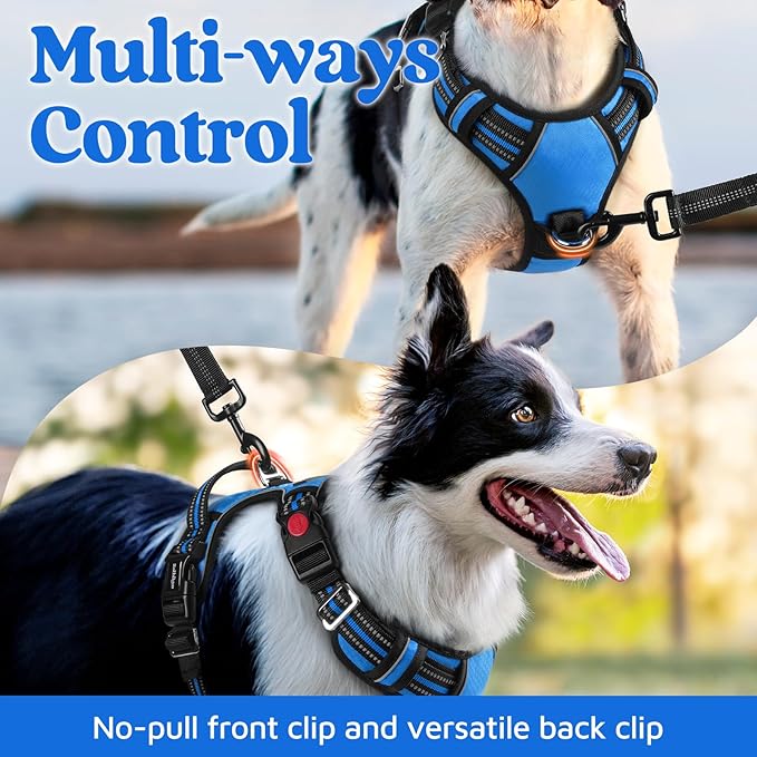 rabbitgoo Dog Harness for Large Dogs, No Pull Pet Vest with 3 Buckles, Adjustable Soft Padded Pet Harness with Easy Control Handle and Reflective Strips, Blue, L-Mewly Pet