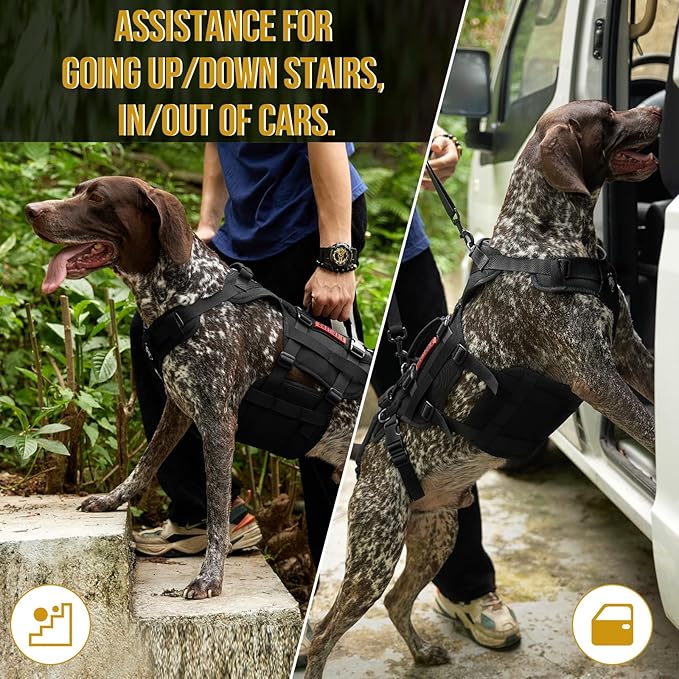 OneTigris Dog Lift Harness for Large Dogs, Dog Hip Support Brace, Full Body Lifter with Handles Invictus Multifunctional Mobility Assistance Vest for Back Legs (Black, Large)-Mewly Pet