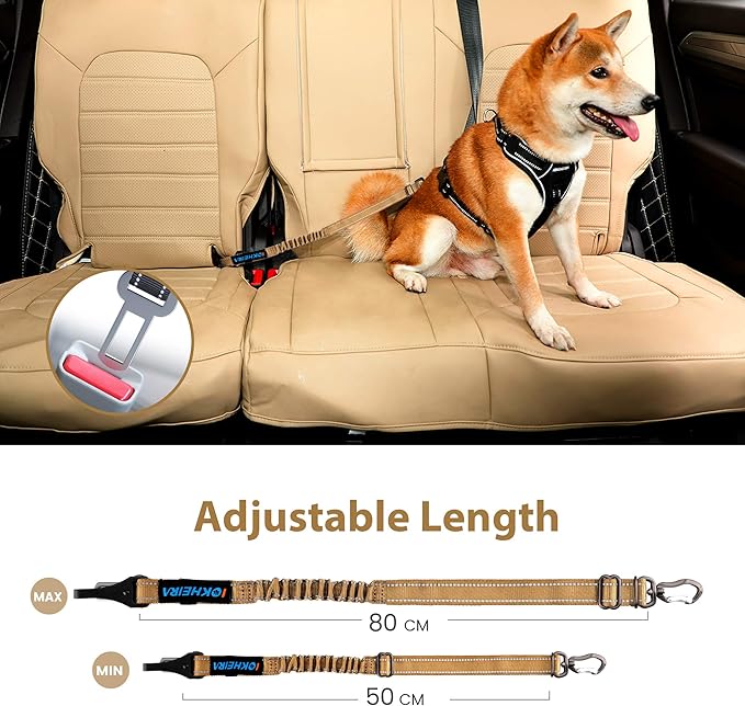 IOKHEIRA Dog Seatbelt, Universal Reflective Bungee Dog Car Harness with Hook Latch & Seatbelt Buckle, Swivel Aluminum Carabiner, Green-Mewly Pet