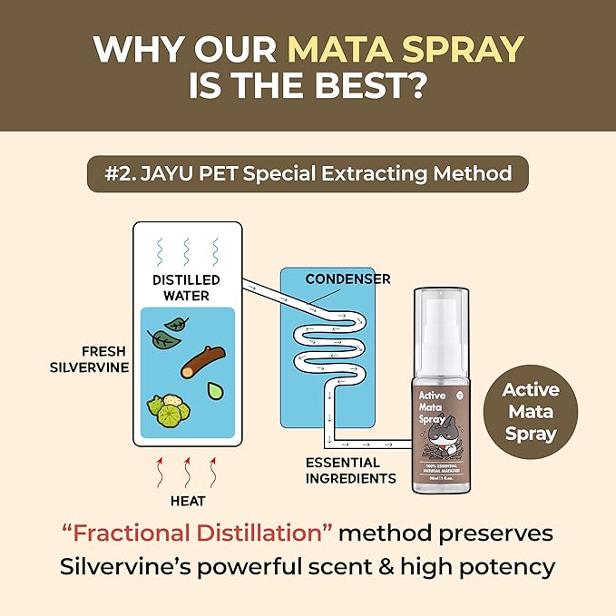 JAYU PET Active MATA Spray – 100% Natural Silvervine Spray for Cats, Liquid Catnip Alternative, Calming Spray for Indoor Kittens, Boosts Play & Engagement, Reduces Stress (1 fl oz)-Mewly Pet