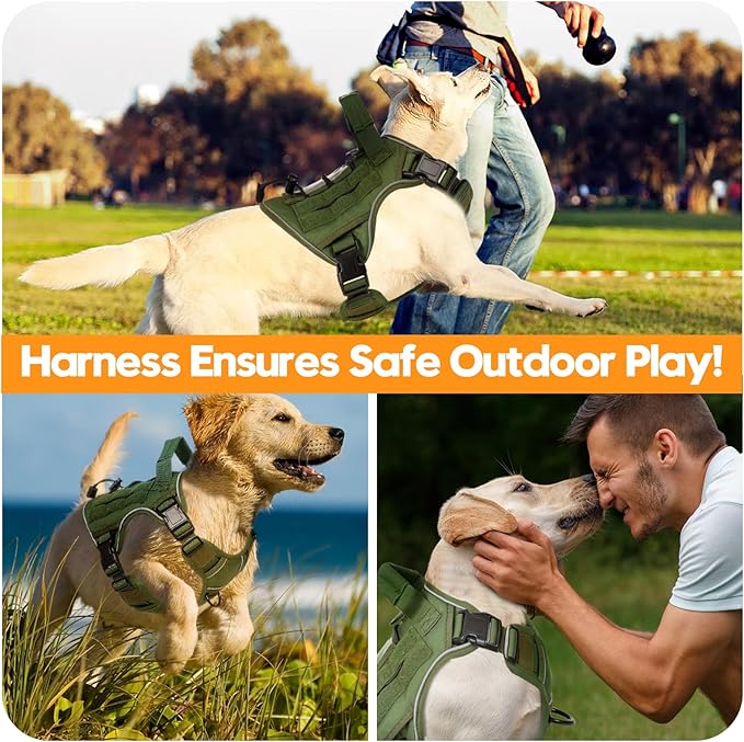 Heavy-Duty Tactical Dog Harness for Large Dogs, No Pull Adjustable Reflective Pet Vest with Molle System, K9 Military-Grade Control for Service Training, Outdoor & 10+ Breeds, Green, Small-Mewly Pet