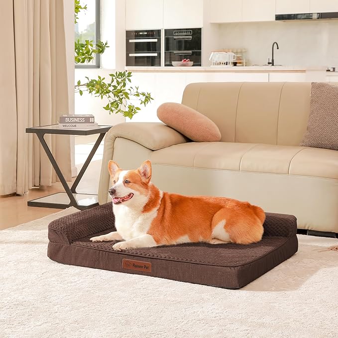 Orthopedic Dog Beds Large Sized Dog, 3 Inch Memory Foam Pet Bed for Medium and Large Dogs, Washable Removable Cover, Nonskid Bottom, Waterproof, 41x27 Inches XL Brown Grey-Mewly Pet