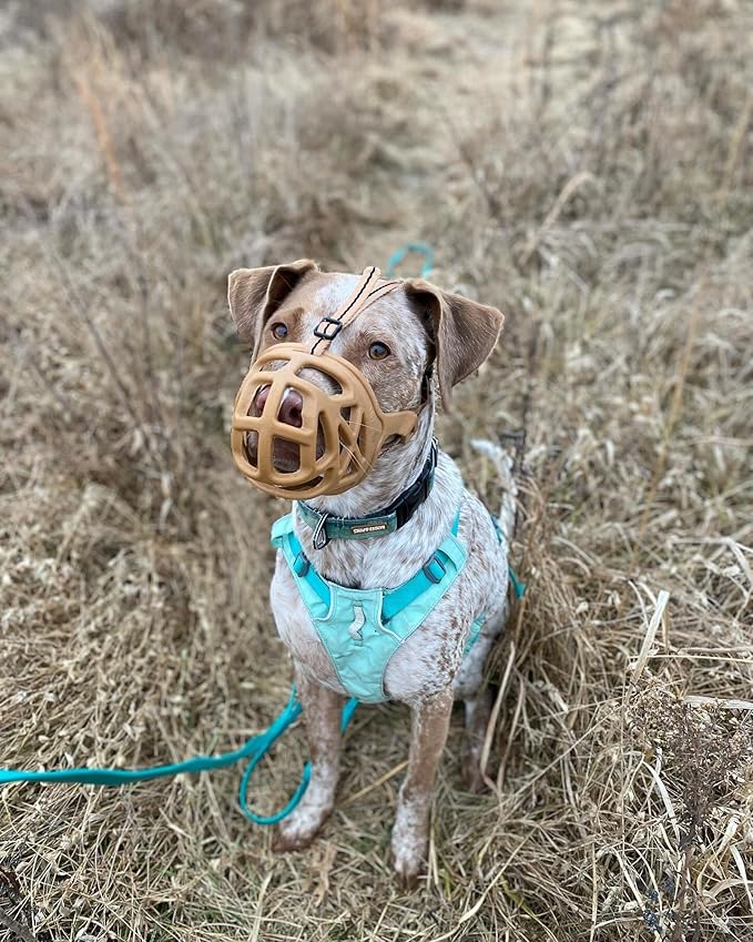 Mayerzon Dog Muzzle, Breathable Basket Muzzles for Small, Medium, Large and X-Large Aggressive Dogs Beagle German Shepherd Doberman, Cage Mouth Guard Stop Biting Chewing for Grooming Training-Mewly Pet