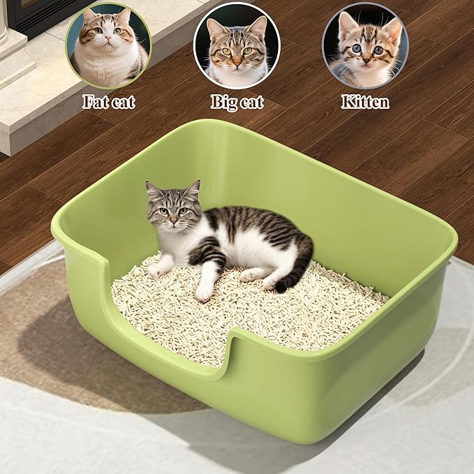 Large Cat Litter Box with High Sides, Open Kitty Litter Boxes Anti-Splashing for Indoor Cat Low Entry Cat Litter Pan for Small and Elderly Cats, Tool-Free Assembly(19.7” * 15.76” * 8.67” Green)-Mewly Pet