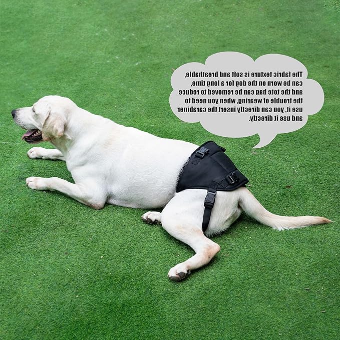 Dog Lift Harness for Dogs with Disabled Arthritis and Weak Back Legs, humanized Design with Comfortable Materials, Adjustable Back Legs and Straps, Suitable for Helping Dogs to Recover and Walk. (M)-Mewly Pet