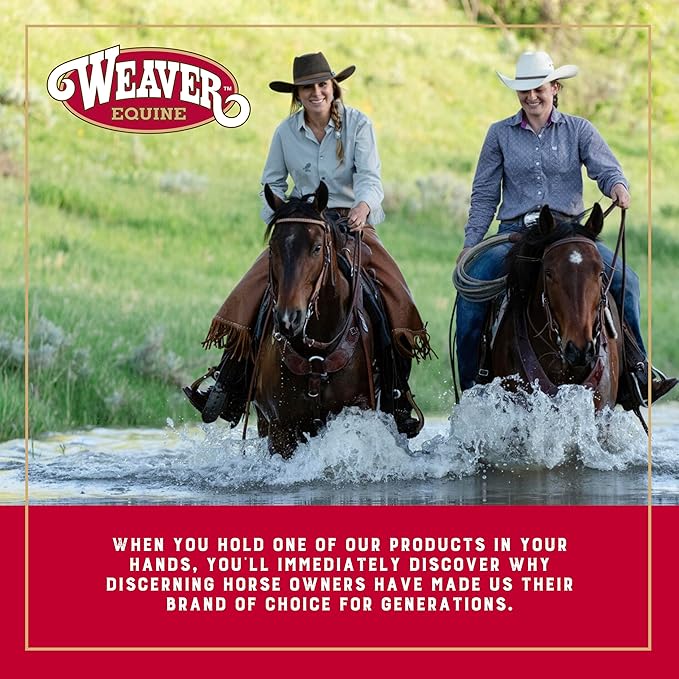 Weaver Leather Grooming Kit, Black/Beige, 65-2055-BK-Mewly Pet