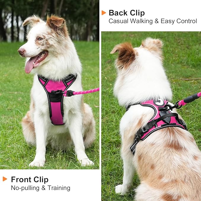 Taglory Light Up Dog Harness, Rechargeable No Pull Dog Vest with 3 Lightning Modes, Reflective Dog Harness with 2 Leash Clips & 4 Adjustable Slide Strips for Large Dogs, Hotpink-Hotpink, XL-Mewly Pet