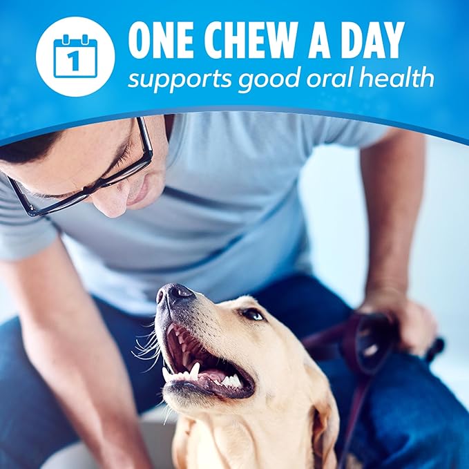 Purina DentaLife Made in USA Facilities Large Dog Dental Chews, Daily - 18 ct. Pouch-Mewly Pet