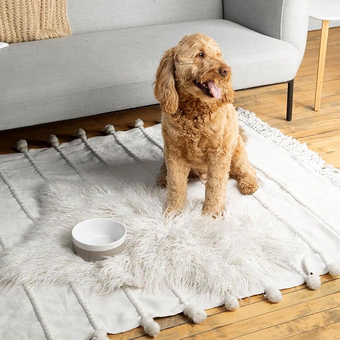 Waggo Dipper Ceramic Dog Bowls - Set of 2 - for Small and Large Breeds - Heavyweight and Durable Pet Food and Water Dish Crock, Dishwasher Safe, Modern (Set of 2, Vintage Grey, Large)-Mewly Pet