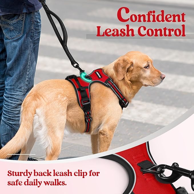 rabbitgoo Dog Harness, No-Pull Pet Harness with 2 Leash Clips, Adjustable Soft Padded Dog Vest, Reflective No-Choke Pet Oxford Vest with Easy Control Handle for Large Dogs, Red, L-Mewly Pet