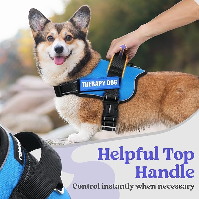 rabbitgoo Dog Harness for Large, Easy On Pet Vest with One Buckle, No Pull Adjustable Service Harness with D-Ring & Handle, Reflective for Safety Walking, Training, Blue, XL-Mewly Pet