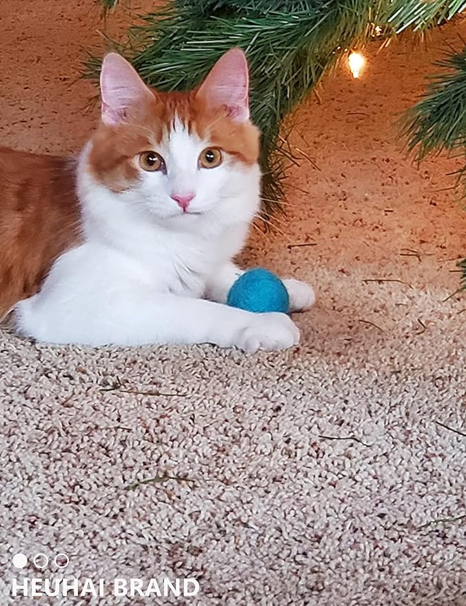 40-Pack Cat Balls – Fun Interactive Toys for Indoor Cats & Kittens (Basic Cat Toy Set)-Mewly Pet