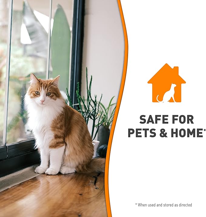 Nature’s Miracle Set-In Stain Destroyer, 1 Gallon, For Cat Messes, Oxy Formula With Orange Scent-Mewly Pet