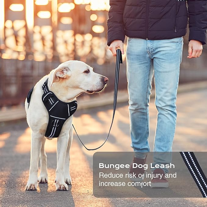 No Pull Dog Harness for Medium Dogs, Adjustable No Choke Pet Vest with Dog Leash Fit Smart Reflective Pet Walking Harness for Training Easy Control Soft Handle Black L-Mewly Pet