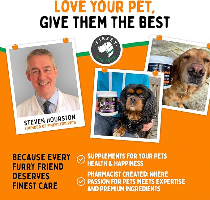 TummyWorks Probiotic 120 Soft Chews for Dogs All Ages - Supports Digestive Health, Relieves Diarrhea, Constipation, Good for Itching, Allergies, Yeast Infections. Added Digestive Enzymes, Made in USA-Mewly Pet