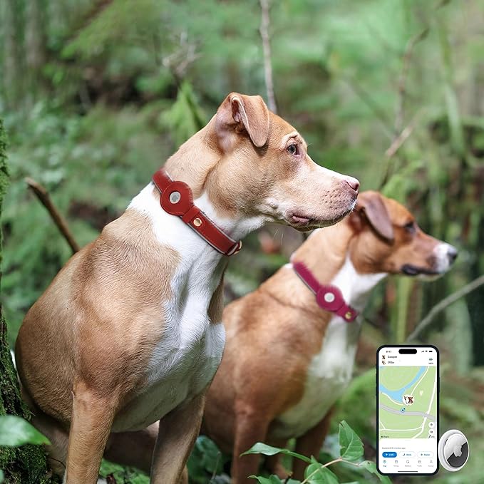 OOPSDOGGY Reflective Geniune Leather Airtag Dog Collar Soft Padded Collars for Small Medium Large Breed Dogs Puppy, 4 Sizes, 7 Colors (Red, Medium, 12"-15")-Mewly Pet