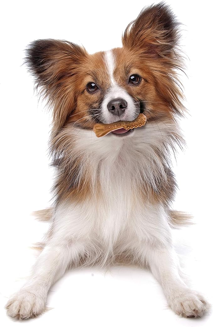 Nylabone Nutri Dent Dog Dental Chews - Natural Dog Teeth Cleaning & Breath Freshener - Dental Treats for Dogs - Filet Mignon Flavor, Mini (160 Count)-Mewly Pet