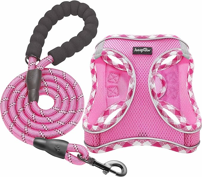 haapaw Dog Harness with Leash Set, No Pull Adjustable Reflective Step-in Puppy Harness with Thickened Padded Vest for Extra-Small/Small Medium Dogs-Mewly Pet