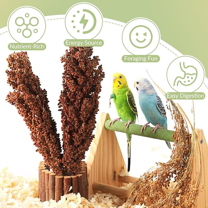 Fhiny Millet Spray for Birds, 3 PCS Natural Sun-Dried Red Sorghum Grain for Birds Seed Original Parrot Treats & Supplement Parakeet Food for Cockatiels Lovebirds Finches Budgies Pigeons Hamsters-Mewly Pet