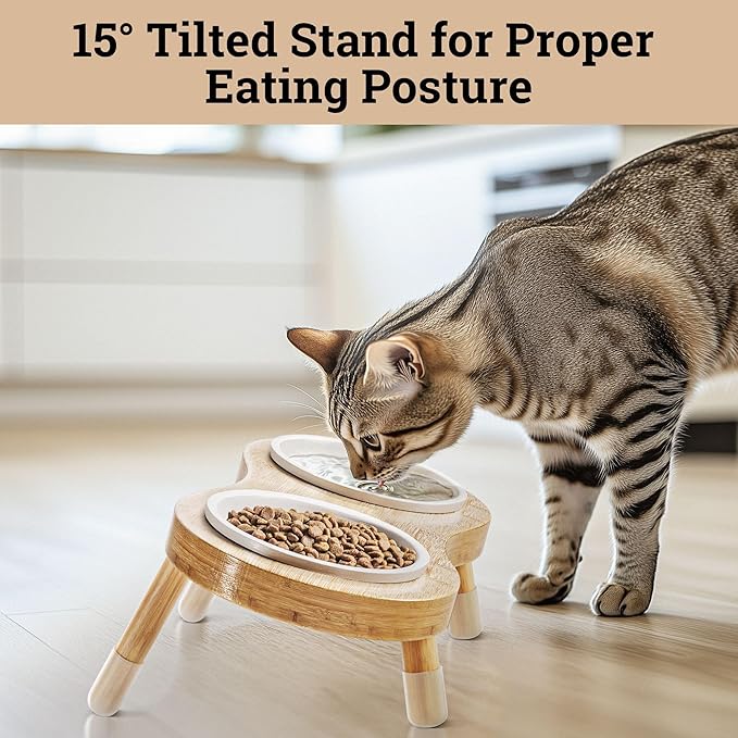 Elevated Cat Bowls - Set of 2 Ceramic Pet Food Bowls with Anti-Slip Bamboo Stand - 15 Degree Titled - Raised Dog Bowl for Small Dogs - Raised Cat Bowl Stand - Pet Feeding Station for Cats & Small Dogs-Mewly Pet