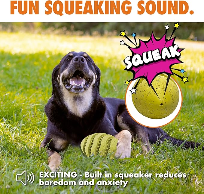 Max Fusion with Nike Grind, Arlee Spiro Football Treat Dispensing Dog Toy, Durable Dog Treat Toy, L-Mewly Pet