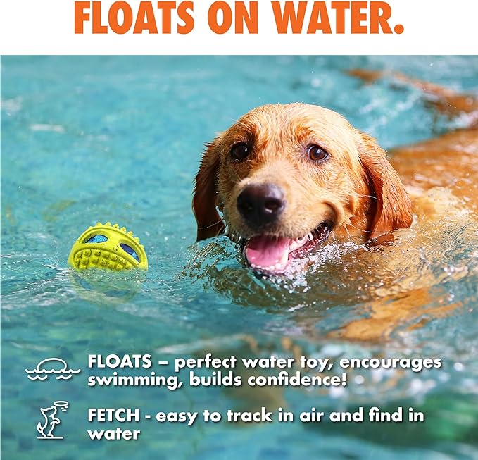 Max Fusion with Nike Grind, Arlee Meteor Dog Toy, Chew Toy for Play, Fetch, Tug, M-Mewly Pet