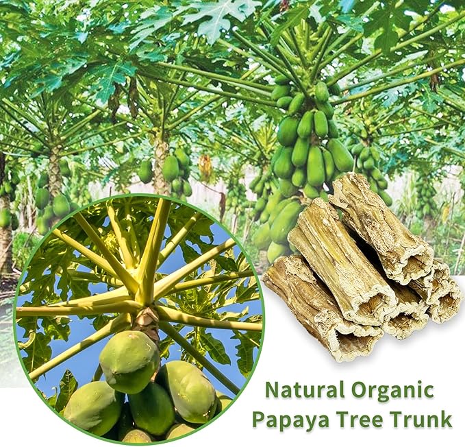 Fhiny Rabbit Chew Toys, 6 PCS 3.9" Natural Papaya Wood Chew Sticks Guinea Pig Treats for Dental Care Bunny Treats for Rabbits Small Pet Molar Snacks for Bunny Guinea Pig Chinchilla Hamster Gerbil-Mewly Pet