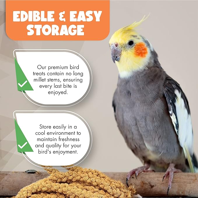 5LBS GMO-Free Sun Dried Spray Millet - Original Bird Treat Millet for Parakeets, Cockatiels, Finches & More - Non-GMO, High in Amino Acids, Easy Storage, Tasty & Healthy Bird Snacks (5 lbs)-Mewly Pet