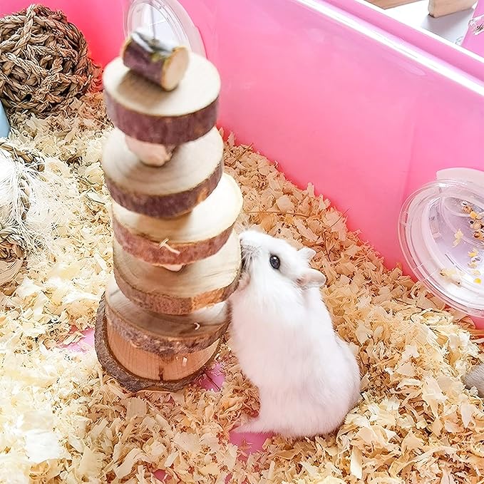 Natural Organic Apple Wood Chew Toys, 2 Pack Small Animal Snacks Toys Suitable for Bunny, Chinchilla, Guinea Pigs, Hamsters Teeth Grinding-Mewly Pet