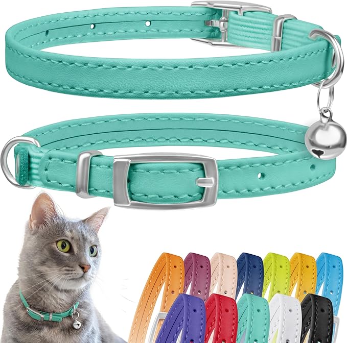 CollarDirect Leather Cat Collar with Bell - Kitten Collar, Small and Big Cat Collar for Boy Cats, Girl Cats with Safety Elastic Strap (Neck Fit 8"-11", Mint Green)-Mewly Pet