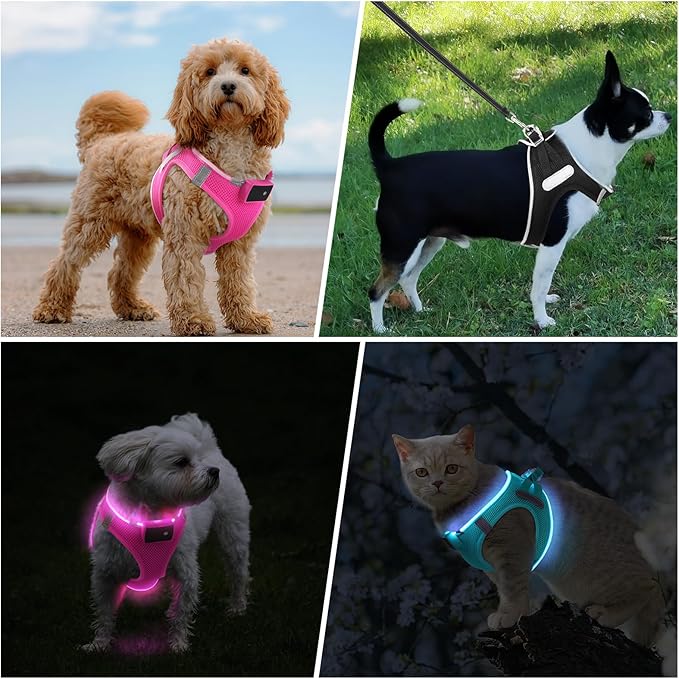 Pceotllar LED Dog Harness - Rechargeable, Flashing Light, No Pull, Reflective - Medium, Pink-Mewly Pet