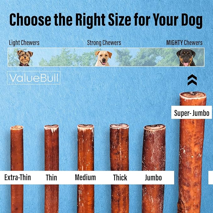 ValueBull Bully Sticks for Large Dogs, Super Jumbo 6 Inch, 50 Count - All Natural, Grass Fed, Single Ingredient, Long Lasting Dog Treats for Aggressive Chewers-Mewly Pet