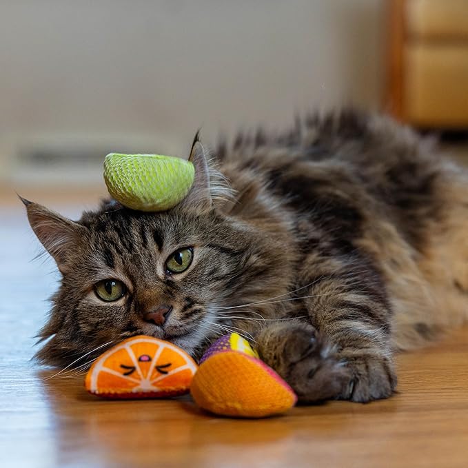 Catstages Dental Fruit Wedges 4 Pk, Soft and Textured Catnip Chew Toys That Help Clean Teeth, Multicolored-Mewly Pet