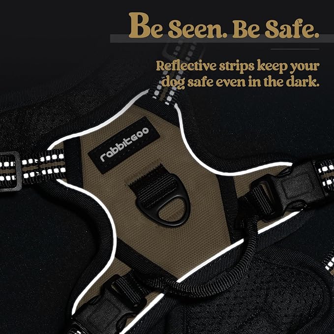 rabbitgoo Dog Harness No Pull with 2 Leash Clips, Adjustable Soft Padded, Reflective Oxford No Choke Pet Vest with Easy Control Handle for Puppy, Beige, XS-Mewly Pet