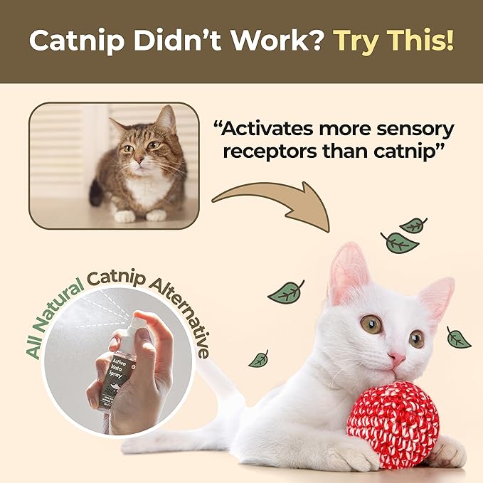 JAYU PET Active MATA Spray – 100% Natural Silvervine Spray for Cats, Liquid Catnip Alternative, Calming Spray for Indoor Kittens, Boosts Play & Engagement, Reduces Stress (1 fl oz)-Mewly Pet