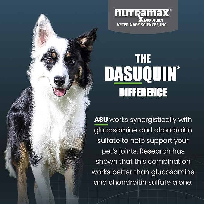 Nutramax Dasuquin for Small to Medium Dogs, Joint Health Supplement, Contains Glucosamine for Dogs, Plus Chondroitin, ASU and More, Supports Healthy Joints, Soft Chews, 84 Count-Mewly Pet