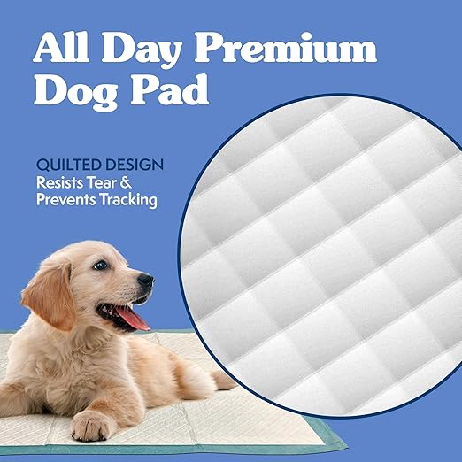 Simple Solution Puppy Training Pads – Large Leak-Proof Potty Pads for Dogs – Disposable with Odor Control and Absorbent Core for Floor Protection – 23 x 24 Inches – 100 Count-Mewly Pet