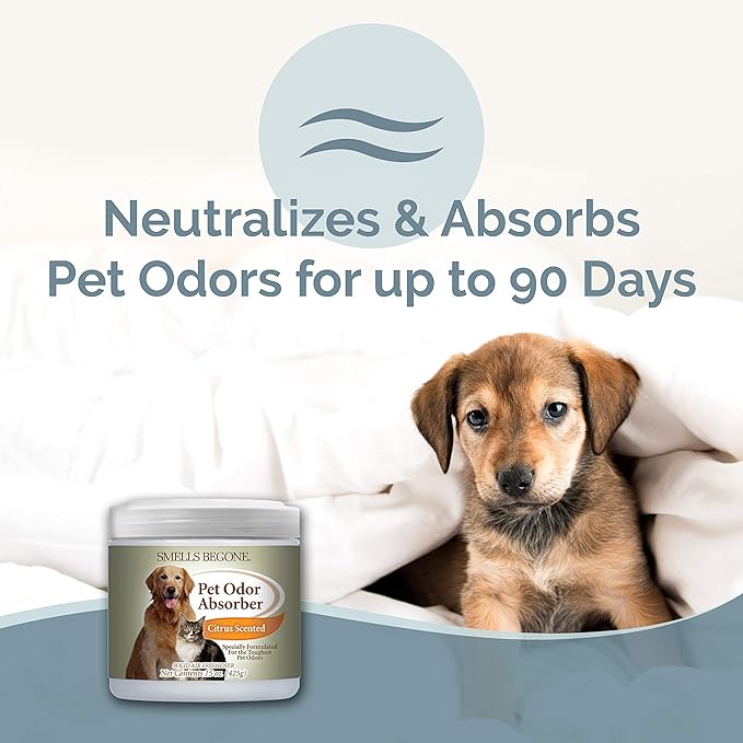 SMELLS BEGONE Air Freshener Pet Odor Absorber Gel - 15 oz, Pack of 2 - Absorbs and Eliminates Odor in Pet Areas, Bathrooms, Cars, & Boats - Made with Essential Oils - Citrus Scent-Mewly Pet