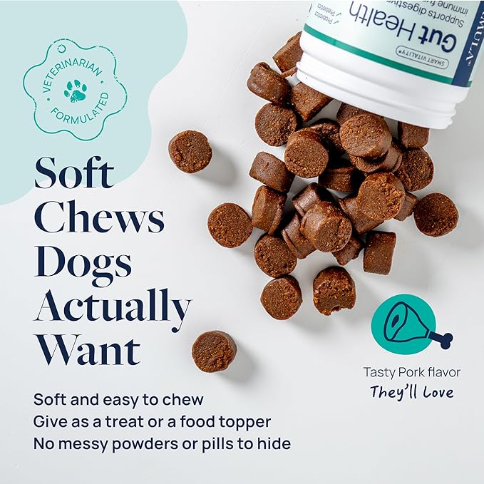 Veterinary Formula Gut Health Supplement for Dogs – Vet-Formulated Probiotic Chews with Digestive Enzymes & Fiber – Smart Vitality Supports Digestive Health, Gut Balance & Stool Quality, 60 Soft Chews-Mewly Pet