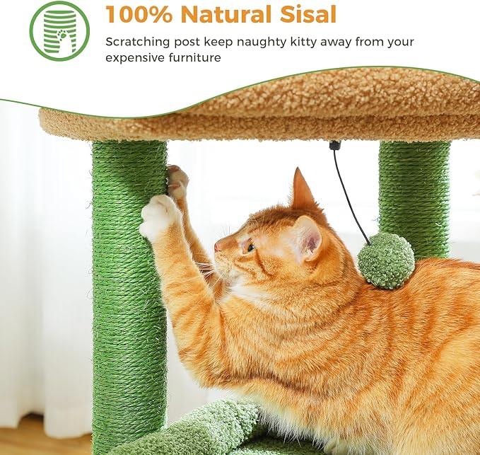 PEQULTI Cat Tree Cactus Cat Tower for Indoor Cats with Private Cozy Cat Condo, Natural Sisal Scratching Posts and Plush Pom-pom for Small Cats Green-Mewly Pet