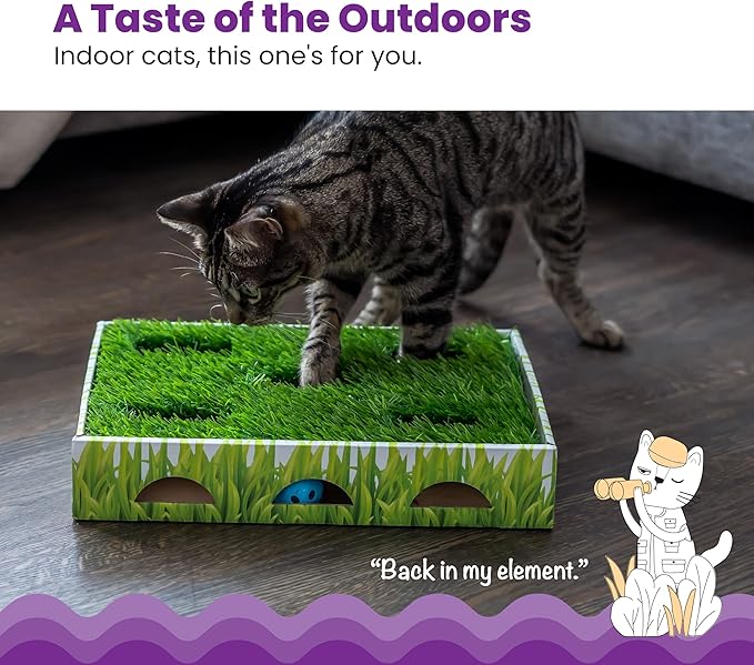 Catstages Grass Patch Hunting Box Interactive Bat & Swat Game for Indoor Cats, 3 Jingle Balls Included, Green-Mewly Pet