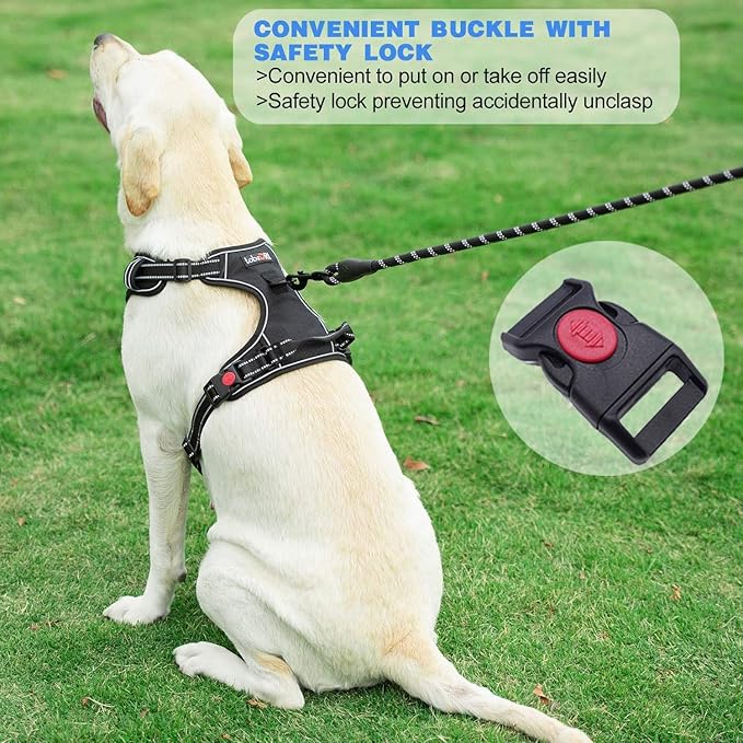 No Pull Dog Harness Adjustable Reflective Oxford Easy Control Medium Large Dog Harness with A Free Heavy Duty 5ft Dog Leash (S (Chest: 17.5"-21"), Red Harness+Leash)-Mewly Pet