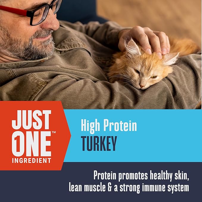 Whole Life Cat Just One Turkey Freeze Dried Cat Treats - Human Grade High Protein Food, Healthy Training Snacks, Freeze Dried Turkey Food Toppers, USA Made Natural Treats - 1.2 oz (Pack of 1)-Mewly Pet
