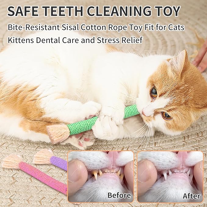 Retro Shaw Kitten Toys Catnip Ropes Cat Chew Toys, 6 Pack, Kitten Teething Toys for Indoor Cats Kitty, Safe Kitty Kicker Sticks Dental Toy-Mewly Pet