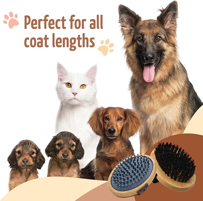 The Buddy System Pet Close Brush, Soft Touch Oval Palm Brush - Bamboo Massage Handheld with Soft Boar Bristles and Elastic Band for Dogs and Cats (2-pack, 1 Brush + 1 Rubber)-Mewly Pet