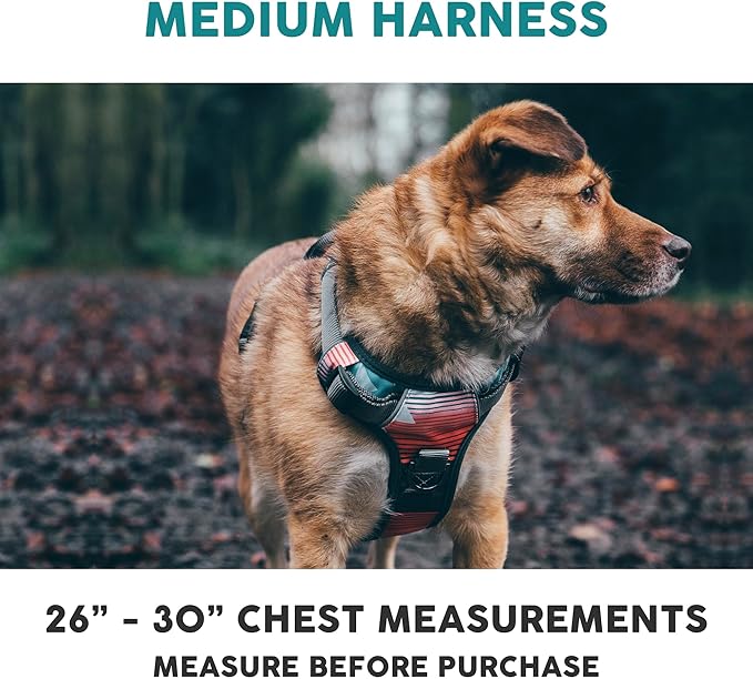 Embark Adventure Dog Harness, Reflective Trim No Pull Dog Harness Medium Sized Dogs - Military Grade Nylon, Front Clip with Gel Lined Handle.-Mewly Pet