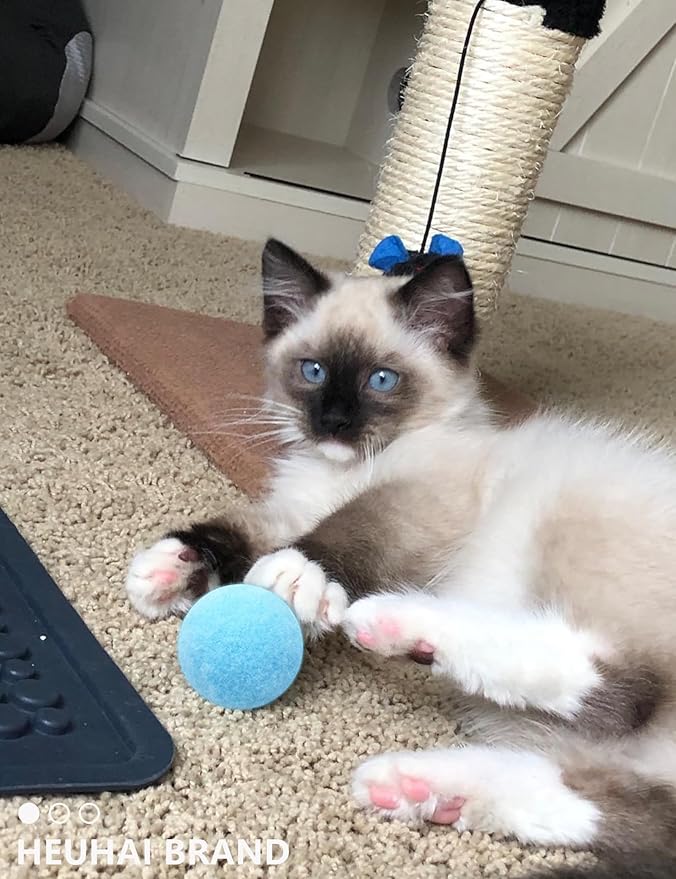 40-Pack Cat Balls – Fun Interactive Toys for Indoor Cats & Kittens (Basic Cat Toy Set)-Mewly Pet